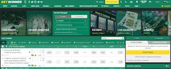 BetWinner Online Casino Experience the Thrill of Gaming