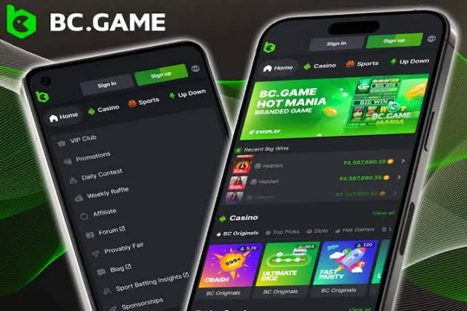 Casinò BC Game Italia Il Futuro del Gioco Online