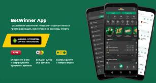 Everything You Need to Know A Comprehensive Guide -865334730