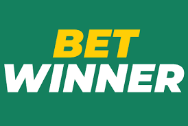 Exploring BetWinner Your Ultimate Gambling Platform