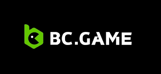 Understanding the BC.Game Login Process A Step-by-Step Guide