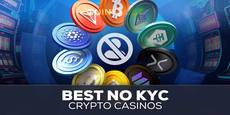 Top Casino Platforms Best Crypto Casinos Without KYC